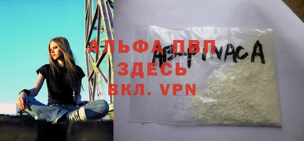 дживик Надым
