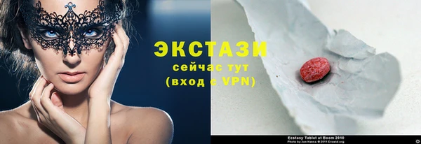 дживик Надым