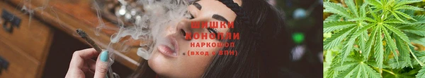 шишки Навашино