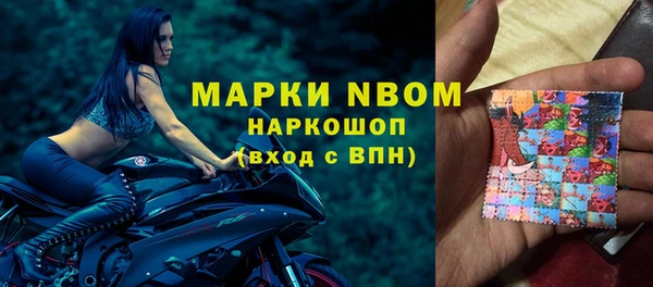 дживик Надым
