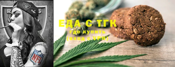 дживик Надым