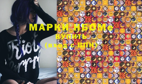 дживик Надым