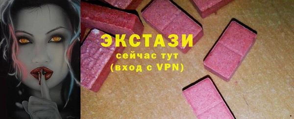 дживик Надым