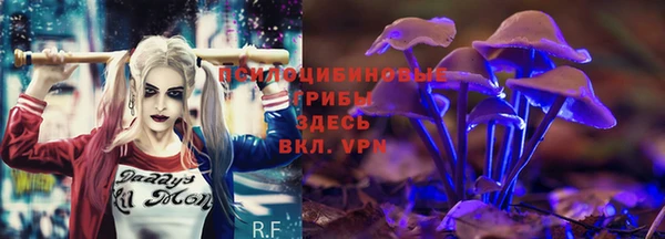 шишки Навашино