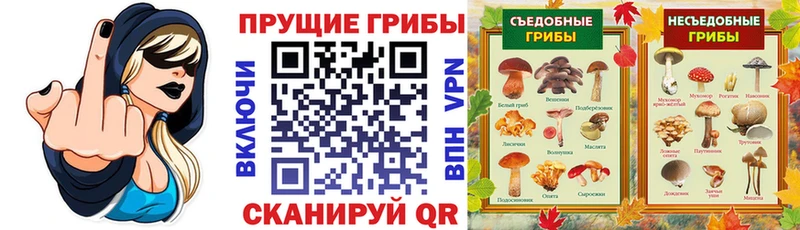 Купить  Черноголовка  Псилоцибиновые грибы MAGIC MUSHROOMS 